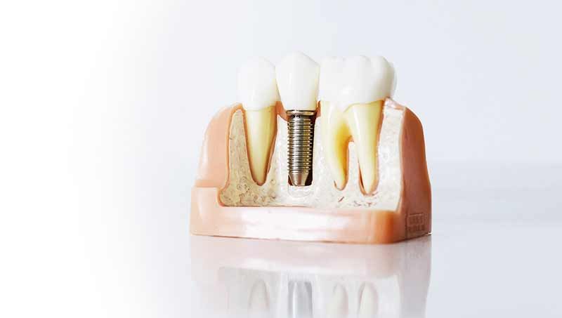 Servicio personalizado y de calidad